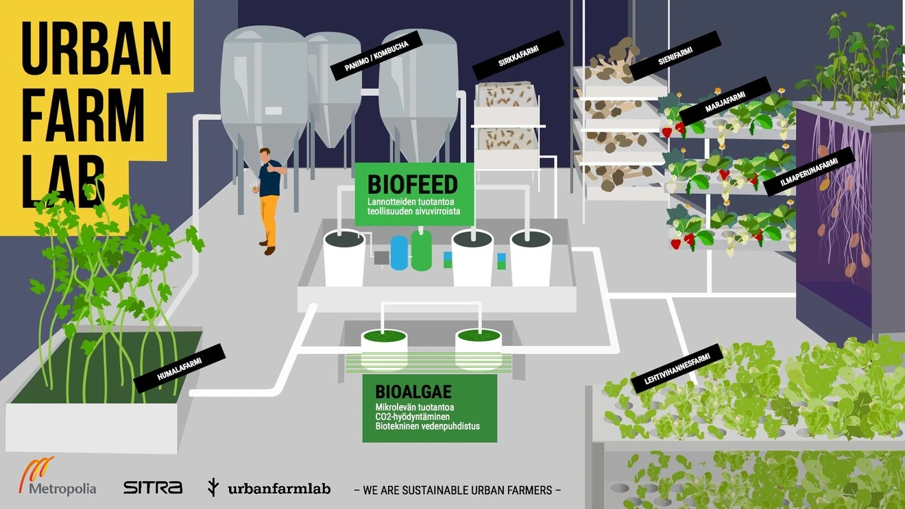 Urban Farm Lab – mô hình nông nghiệp đô thị sáng tạo của Đại học Khoa học Ứng dụng Metropolia (Phần Lan), nơi sinh viên và nhà nghiên cứu thử nghiệm các giải pháp canh tác bền vững dựa trên công nghệ sinh học, tuần hoàn và năng lượng xanh.