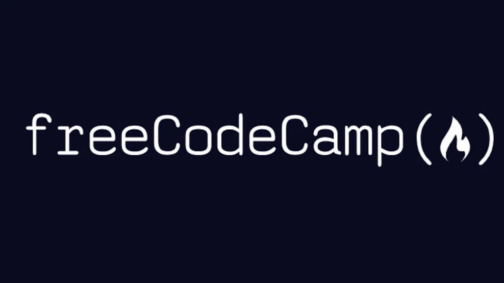 Học qua dự án thực tế cùng freeCodeCamp, nơi sinh viên từng bước xây dựng portfolio và năng lực làm việc thực chiến.