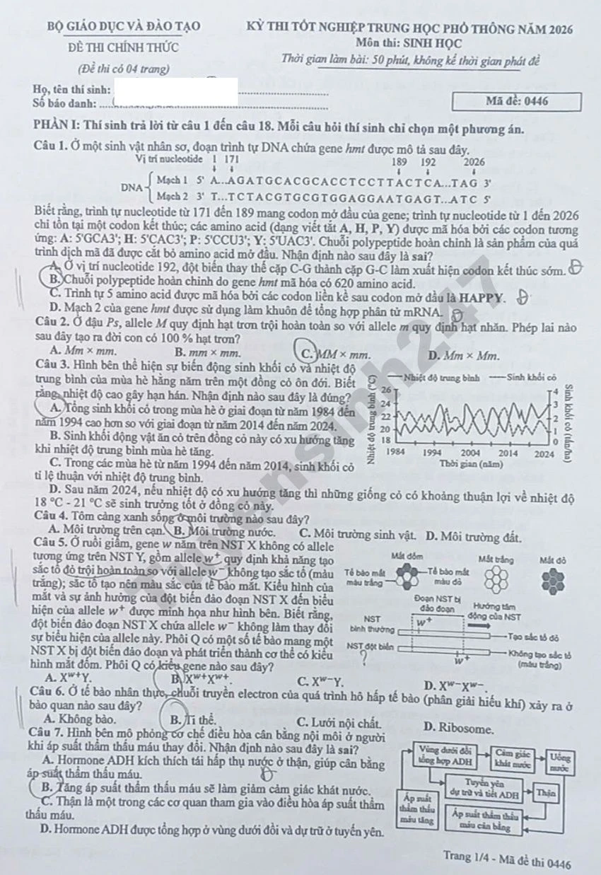 Đề thi Vật lý, Hóa học, Sinh học kỳ thi tốt nghiệp THPT 2026 và đáp án tham khảo 9 Đề thi môn Sinh tốt nghiệp THPT 2026 - mã 0446(Trang 1)