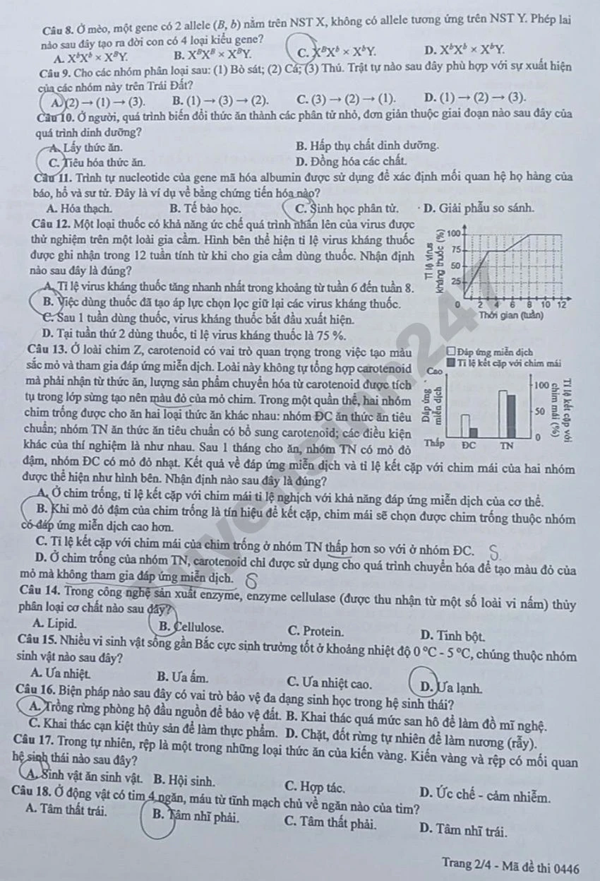 Đề thi Vật lý, Hóa học, Sinh học kỳ thi tốt nghiệp THPT 2026 và đáp án tham khảo 10 Đề thi môn Sinh tốt nghiệp THPT 2026 - mã 0446(Trang 2)