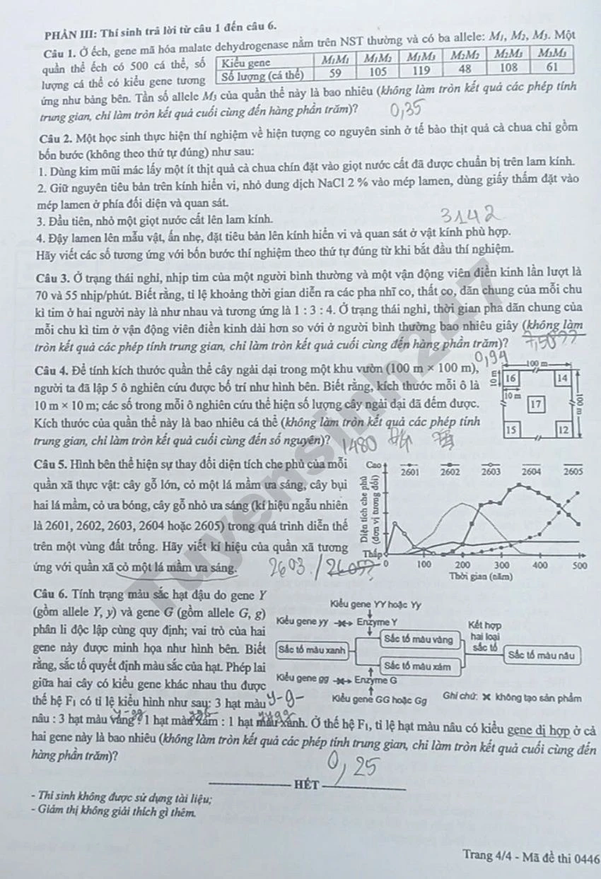 Đề thi Vật lý, Hóa học, Sinh học kỳ thi tốt nghiệp THPT 2026 và đáp án tham khảo 12 Đề thi môn Sinh tốt nghiệp THPT 2026 - mã 0446(Trang 4)